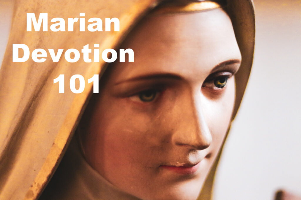 Marian devotion 101 - Catholic Sprouts