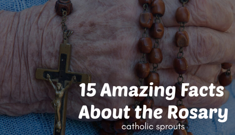 Catholic Saints in Melty Beads - Catholic Sprouts