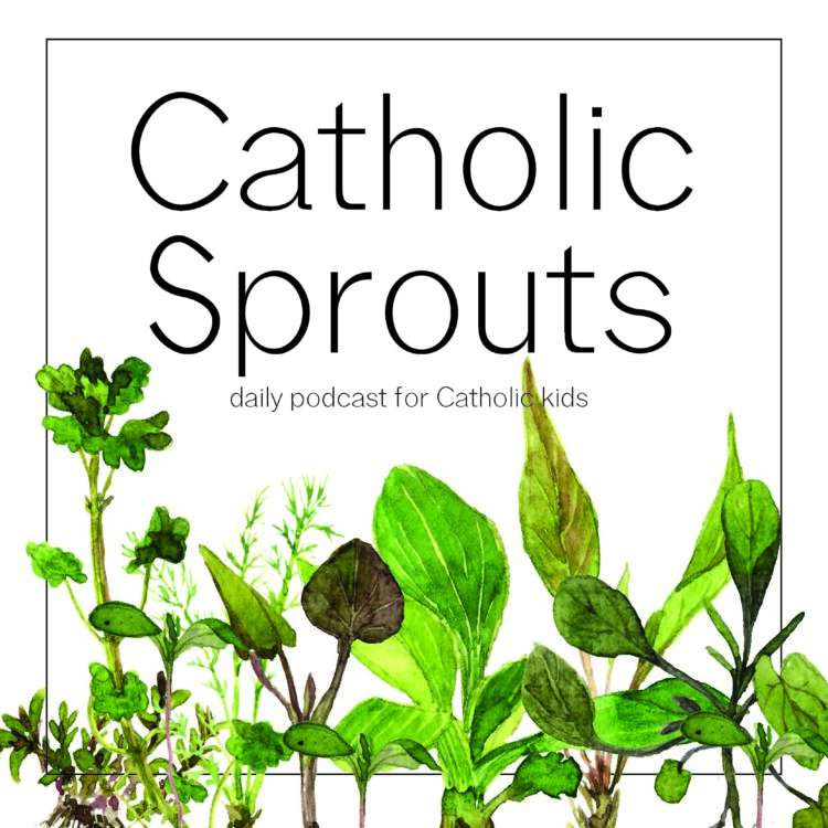 best catholic home school programs